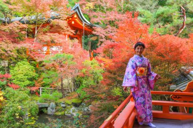 Sonbahar mevsiminde Japon bahçesinde sonbahar ağacıyla poz veren Asyalı son sınıf öğrencisi bir kadın. Kyoto, Japonya