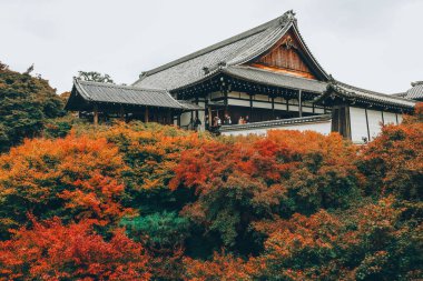 Japonya, Kyoto 'daki tapınak arka planına sahip sonbahar bahçesinin en üst görüntüsü.