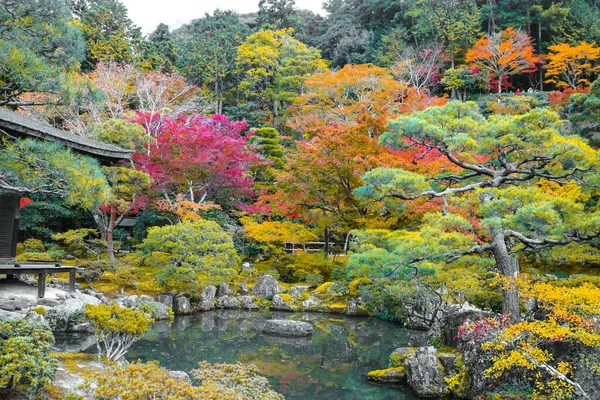 Japanese Autumn Garden Morning Kyoto Japan Japanese Autumn Garden Popular — Stock Photo, Image