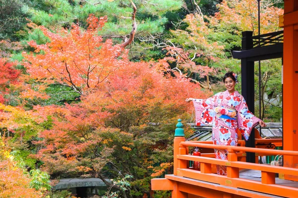 Asian Beautiful Woman Dressing Kimono Posing Autumn Tree Japanese Garden — Stock Photo, Image