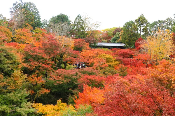 Top View Japanese Autumn Garden Japanese Autumn Garden Popular Travel — Stock Photo, Image