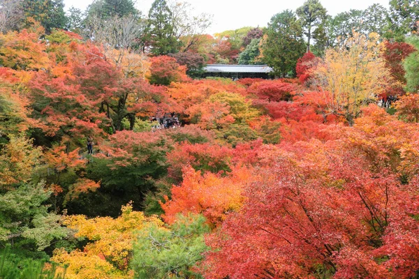 Top View Japanese Autumn Garden Japanese Autumn Garden Popular Travel — Stock Photo, Image