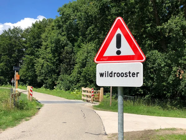 Dutch traffic road sign warning for a cattle grid.