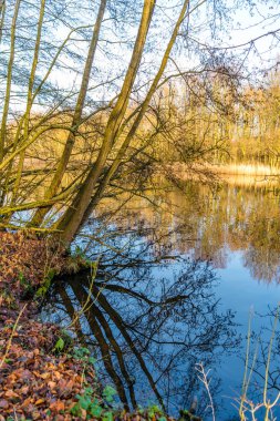 Sonbahar ışığında suda yansımaları ile Sonbahar resimleri