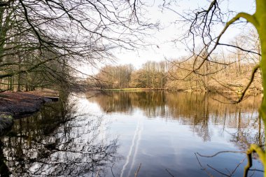 Sonbahar ışığında suda yansımaları ile Sonbahar resimleri