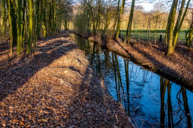 Sonbahar ışığında suda yansımaları ile Sonbahar resimleri