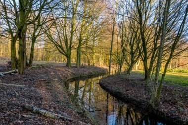 Sonbahar ışığında suda yansımaları ile Sonbahar resimleri