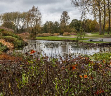 Sonbahar ışığında suda yansımaları ile Sonbahar resimleri