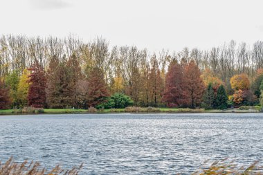 kırmızı sarı kahverengi ve turuncu renklerle sonbahar sahnesi değiştirmek 
