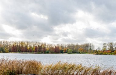 kırmızı sarı kahverengi ve turuncu renklerle sonbahar sahnesi değiştirmek 