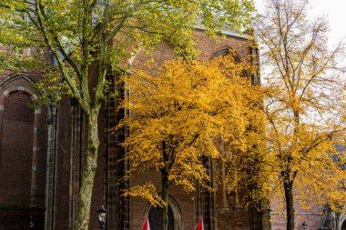 kırmızı sarı kahverengi ve turuncu renklerle sonbahar sahnesi değiştirmek 
