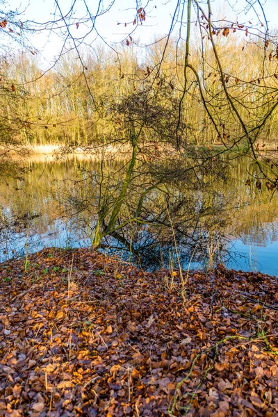 Outono fotos com reflexos na água na luz do outono — Fotografia de Stock