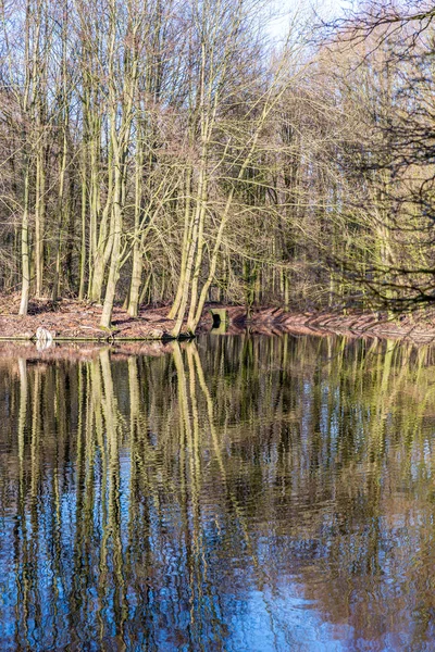 Höst bilder med reflektioner i vattnet i höst ljus — Stockfoto