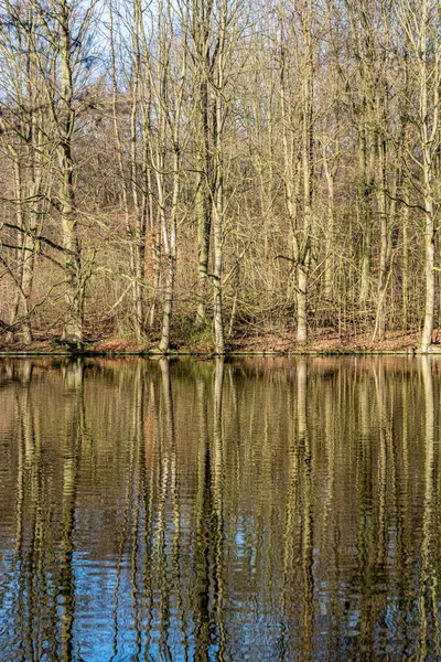 Sonbahar ışığında suda yansımaları ile Sonbahar resimleri