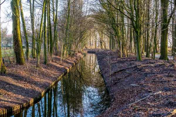 Images d'automne avec reflets dans l'eau en lumière d'automne — Photo