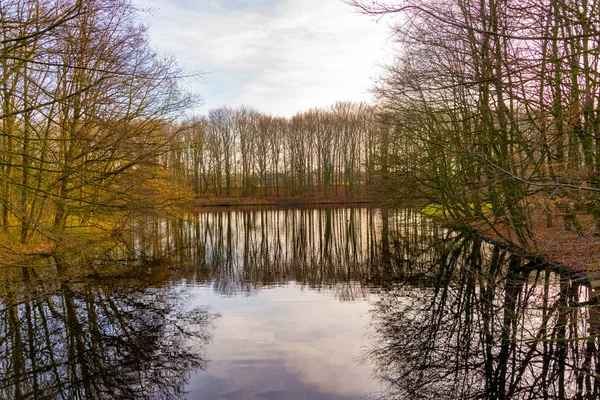 Høstbilder med refleksjoner i vannet i høstlyset – stockfoto