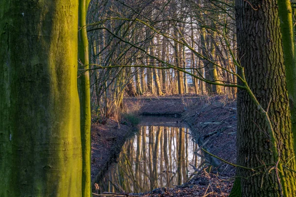 Herbstszene mit rot-gelb-braunen und orangefarbenen Farben die Veränderung — Stockfoto