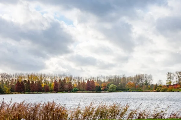 Herbstszene mit rot-gelb-braunen und orangefarbenen Farben die Veränderung — Stockfoto