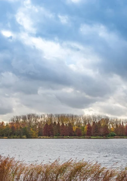 Herbstszene mit rot-gelb-braunen und orangefarbenen Farben die Veränderung — Stockfoto