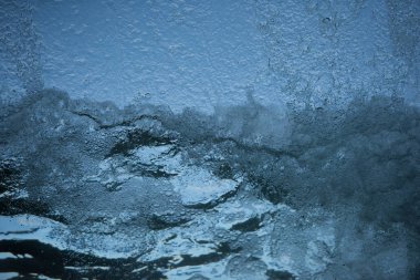 Fotoğrafı yazan Rien Janssen (www.rienjanssen.com)