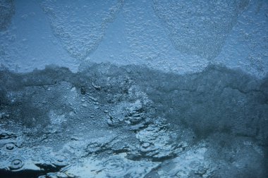 Fotoğrafı yazan Rien Janssen (www.rienjanssen.com)