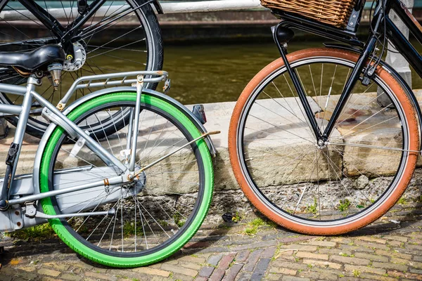 色付き自転車用タイヤ — ストック写真