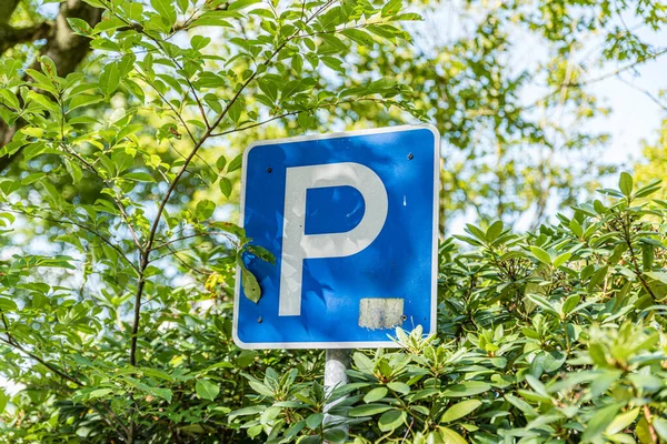 Segnale di parcheggio grande P bianca su un cartello stradale blu — Foto Stock