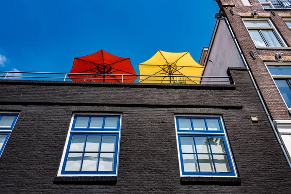 Vermelho amarelo e azul — Fotografia de Stock