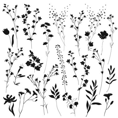 Büyük set siluetler botanik çiçeği çiçek elemanları