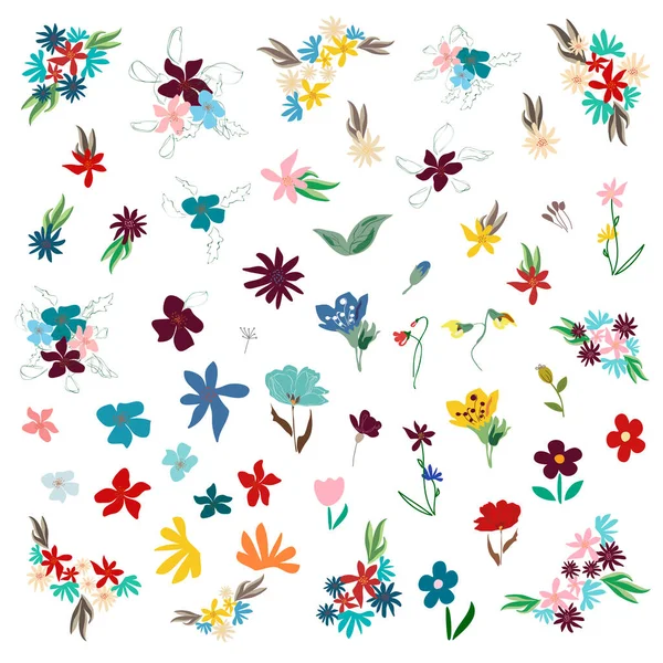 Große Menge botanischer Blüten florale Elemente. Zweige, Blätter, Kräuter, Wildpflanzen, Blumen. Garten, Wiese, Sammlung Feild — Stockvektor