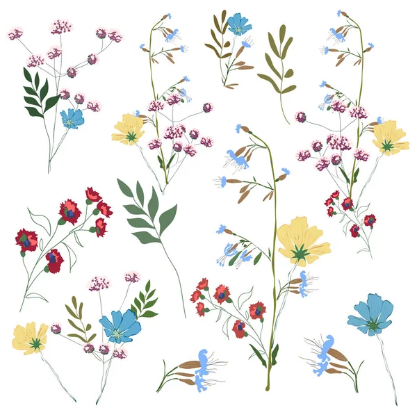 Collezione di fiori disegnati a mano. Grandi rami botanici set, foglie, fogliame, erbe, piante selvatiche in mazzi — Vettoriale Stock