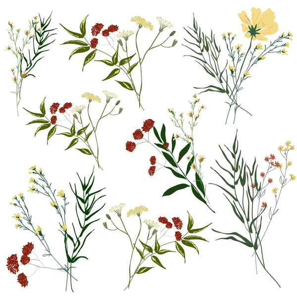 Colección de flores dibujada a mano. Grandes ramas botánicas, hojas, follaje, hierbas, plantas silvestres en ramos — Vector de stock