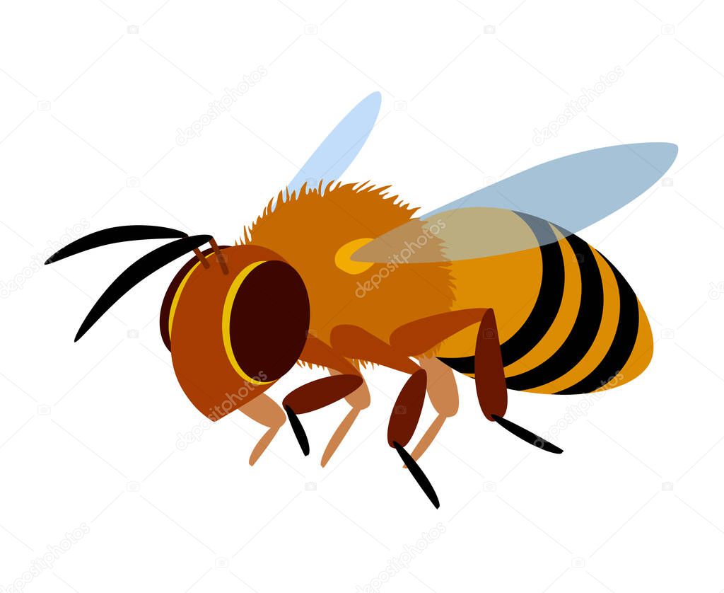 single flying yellow worker honeybee, logo or emblem, symbol of the collective unit, color vector illustration isolated on a white background in cartoon & flat style
