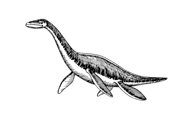 Reptil Prasejarah Dari Periode Jurassic Raksasa Plesiosaurus Dengan Sirip Laut - Stok Vektor