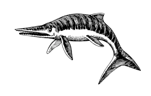 ジュラ紀の先史時代の爬虫類 フィン シーラプターを持つ巨大なイチョサウルス 手描きのスタイルで白い背景に孤立した黒いインクラインを持つベクトルイラスト — ストックベクタ