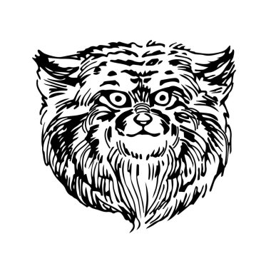 Vahşi memeli kedi, manul kafalı, nadir hayvan, logo ya da amblem için, el çizimi bir beyaz arka planda izole siyah mürekkep çizgileri ile vektör ilüstrasyon