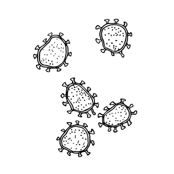 显微镜下的一组珊瑚细胞 危险的微生物 用黑色墨水线表示的载体 以手绘和涂鸦的方式在白色背景上分离 — 图库矢量图片
