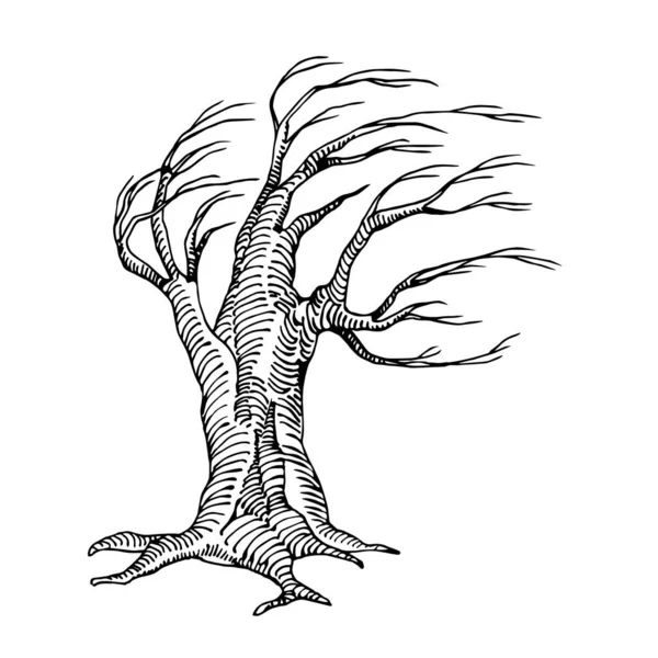 令人生畏的枯死树 没有生命的枝条 万圣节假期的神秘特性 用黑色墨水勾画出的矢量线条 白色背景上孤立的涂鸦和手绘风格 — 图库矢量图片