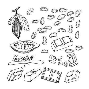 Kakao ağacı elementleri, fasulyeler, çatlamış çikolata çubukları, süsler, menü dekorasyonu, siyah çizgili vektör çizgileri karalama & el çizimi tarzında beyaz arkaplanda izole edilmiş.