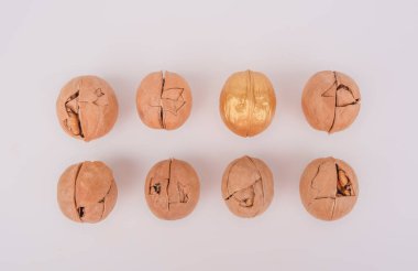 Lider konsepti. Farklı düşünün, bireysel olarak ve kalabalığın konseptinden uzaklaşın. Bir grup çatlak fındık arasında altın güçlü bir ceviz.