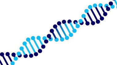 DNA iplikçik animasyonu, dönen DNA iplikçiklerinin 3 boyutlu döndürme animasyonu