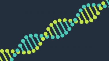 DNA iplikçik animasyonu, dönen DNA iplikçiklerinin 3 boyutlu döndürme animasyonu
