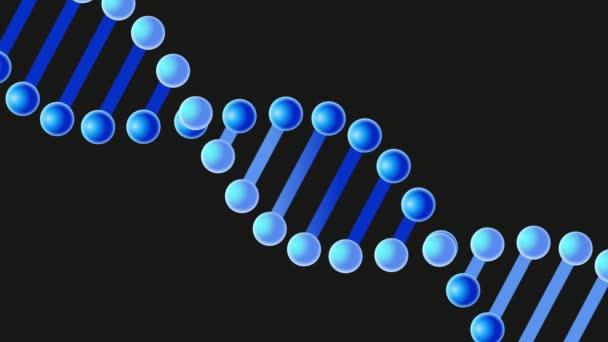 Animación de hebra de ADN, animación en bucle 3D de la animación de hebra de ADN giratoria — Vídeos de Stock