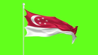 Yeşil ekranın önünde sallanan ve dalgalanan Singapur Bayrağı, yeşil ekranda bayrak animasyonu