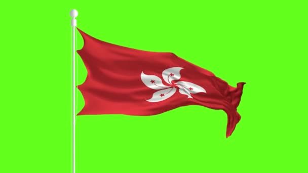 Bandera de Hong Kong ondeando y ondeando frente a una pantalla verde, animación de la bandera en una pantalla verde — Vídeo de stock