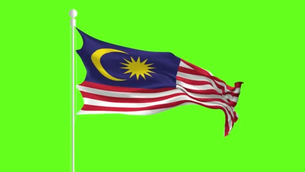 Yeşil ekranın önünde Malezya Bayrağı Dalgalanıyor ve Çırpınıyor, yeşil ekranda bayrak canlanıyor — Stok video