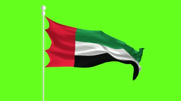 Egyesült Arab Emírségek zászló integetés és villogó előtt egy zöld képernyő, zászló animáció egy zöld képernyőn — Stock videók