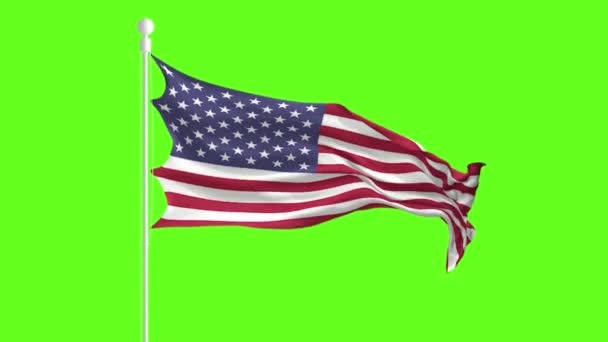 Drapeau des États-Unis agitant et flottant devant un écran vert, animation du drapeau sur un écran vert — Video