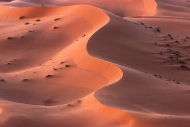 Sahra çölü, kum tepeleri, güneşli bir gün