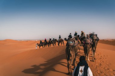 Kum tepelerinde yürüyen deve kervanı, Sahra çölü manzarası